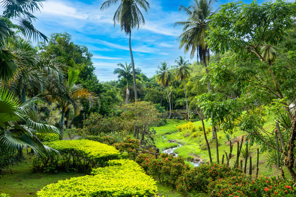 Port-Louis & Jardin botanique