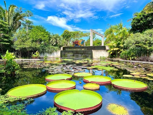Port-Louis & Jardin botanique