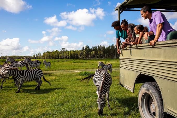 Du SAFARI